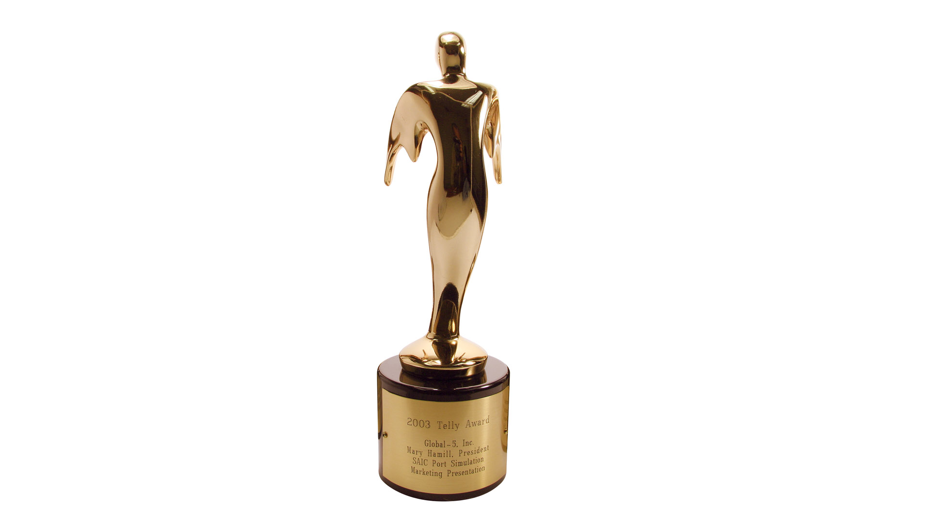 2003 Bronze Telly Award